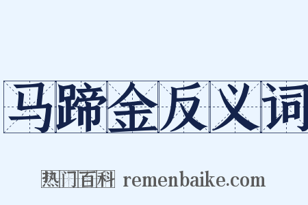 马蹄金反义词是什么意思的图片